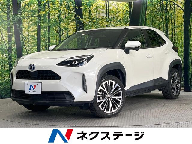 �����X�N���X(�g���^) 1.5 �n�C�u���b�h G ���Îԉ摜