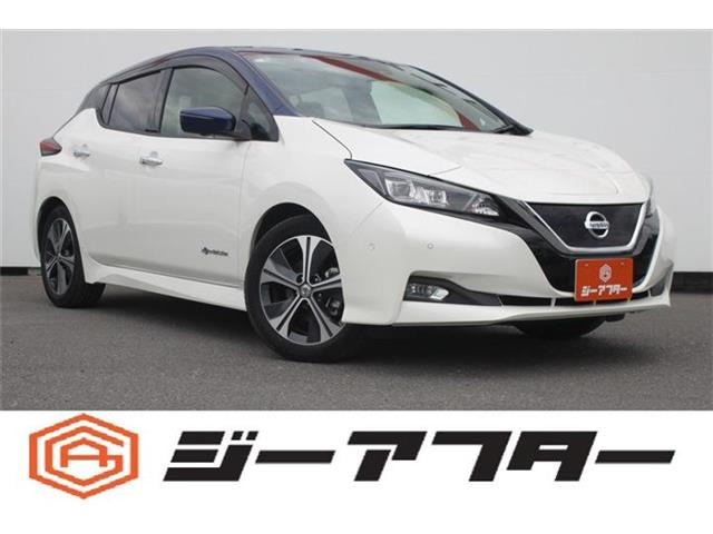 ���[�t(���Y) G ���Îԉ摜