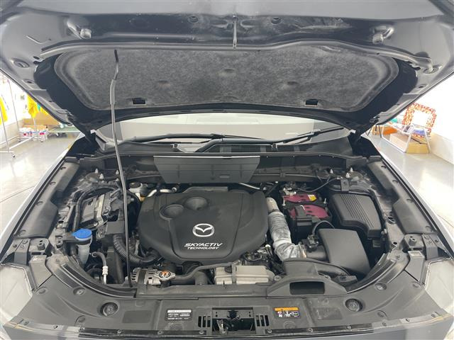 CX-52.2 XD プロアクティブ