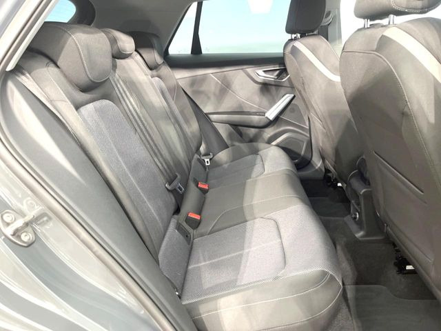 ���㕔���Ȃ��C�ɂȂ�悤�ȃL�Y�E�����ւ��蓙�A�傫�ȃ_���[�W�͂Ȃ��A�ǍD�ȏ�Ԃł��B