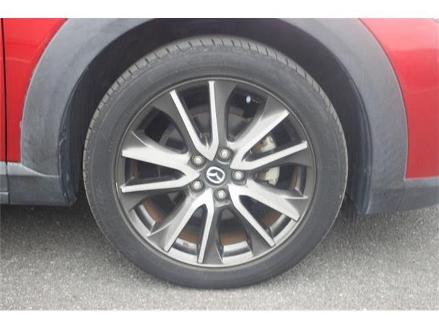 �̔��͂����X���������邨�q�l����ł��B���Ǝҗl�ւ̔̔��͂��f�肳���Ă��������܂��B�Ԍ������ԗ��̏ꍇ�́A�Ԍ����擾�������x�������z�ŕ\�����Ă���܂��B