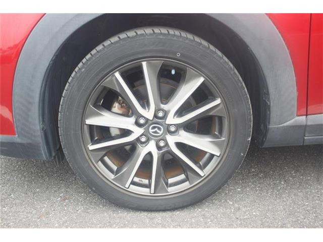�̔��͂����X���������邨�q�l����ł��B���Ǝҗl�ւ̔̔��͂��f�肳���Ă��������܂��B�Ԍ������ԗ��̏ꍇ�́A�Ԍ����擾�������x�������z�ŕ\�����Ă���܂��B