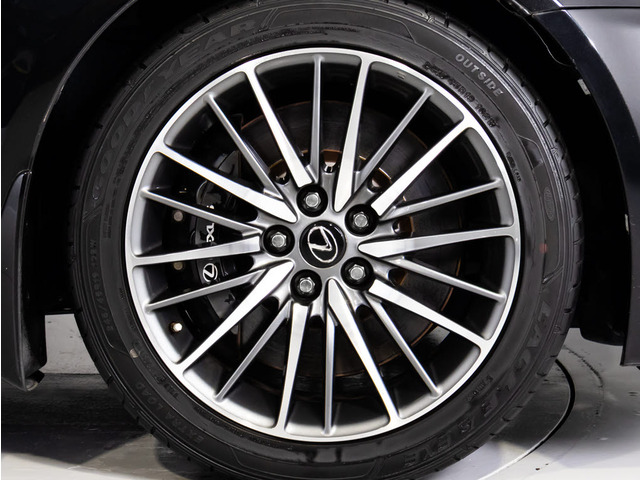 F�X�|�[�c��p19�C���`�A���~!