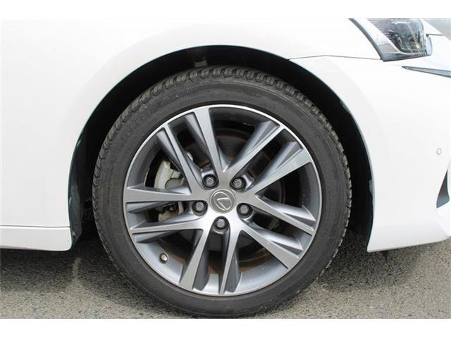�����X�o���Ȃ����q�l�A���Ǝҗl�ւ̔̔��͂��f�肳���Ă��������܂��B�Ԍ������ԗ��̏ꍇ�́A�Ԍ����擾�������x�������z�ŕ\�����Ă���܂��B