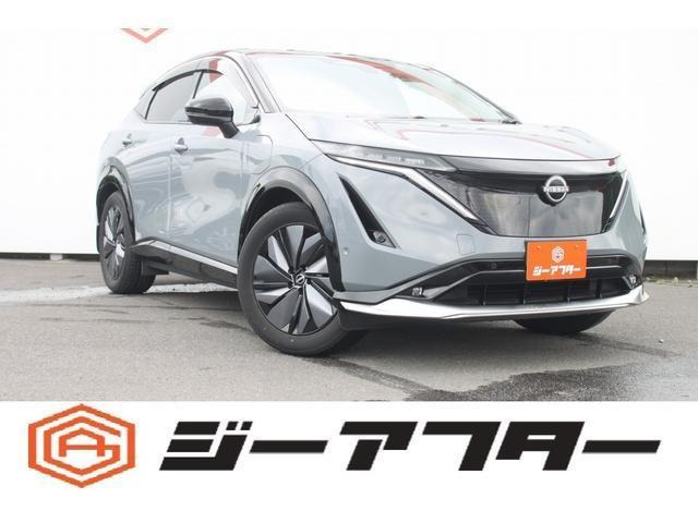 �A���A(���Y) B6 ���Îԉ摜