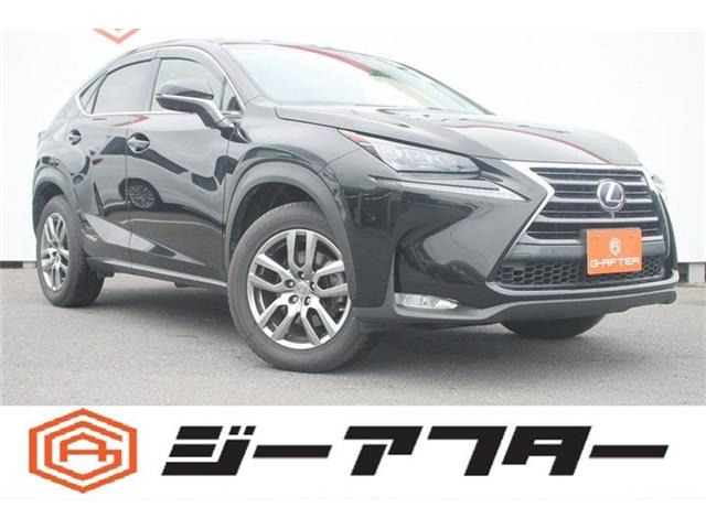 NX300h バージョンL