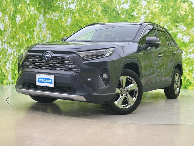 RAV42.5 ハイブリッド G E-Four 4WD