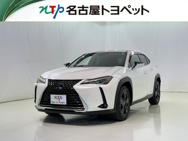 UX250h バージョンC
