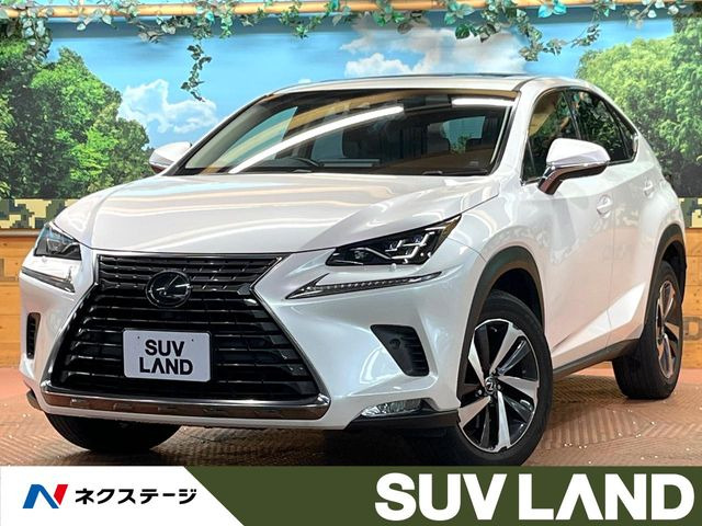 NX200t Iパッケージ
