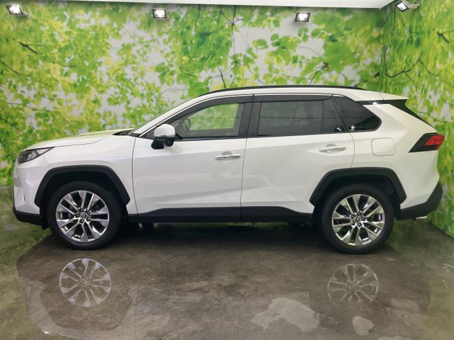 RAV42.0 G Zパッケージ 4WD