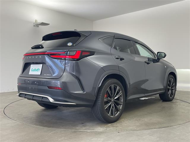 NX350h Fスポーツ