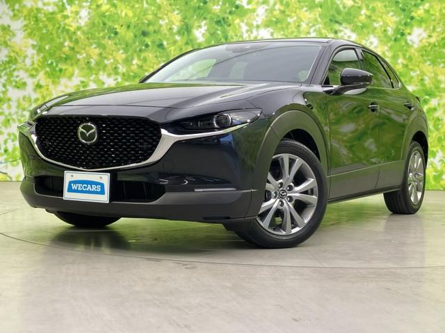 CX-302.0 20S プロアクティブ ツーリングセレクション