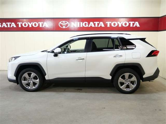 RAV42.5 ハイブリッド G E-Four 4WD