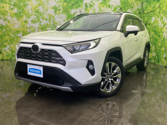 RAV42.0 G Zパッケージ 4WD
