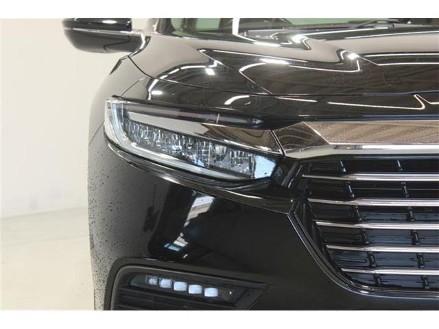 �ቿ�i�ŗǎ��Ȃ��Ԃ�S�Б���3,000�݌ɂ��炨�I�т��������܂��B�c�Ǝ��� 10:00�`19:00