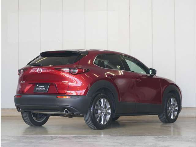 CX-301.8 XD プロアクティブ ツーリングセレクション