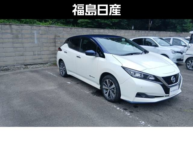 リーフe+ X