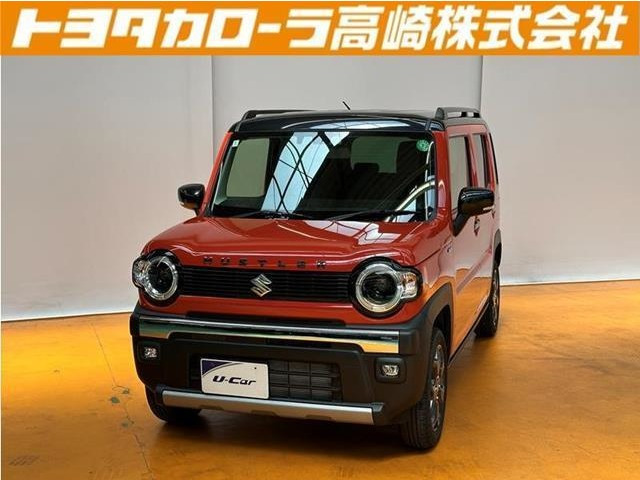 ハスラータフワイルド