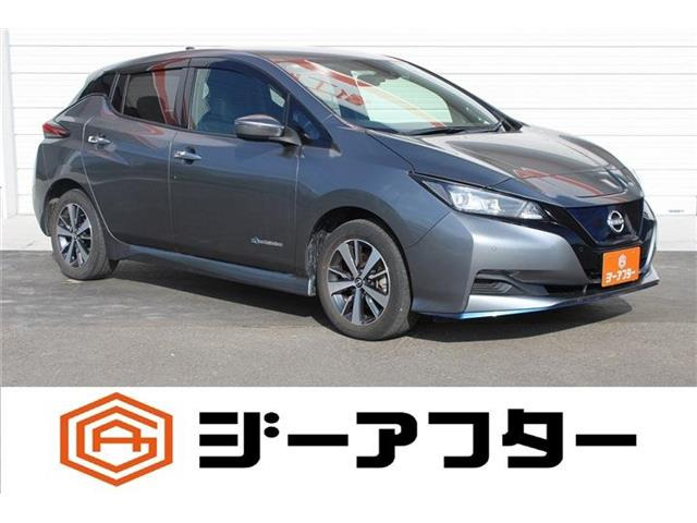 リーフe+ X