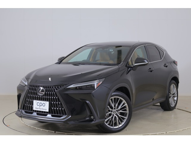 NX250 バージョンL 4WD