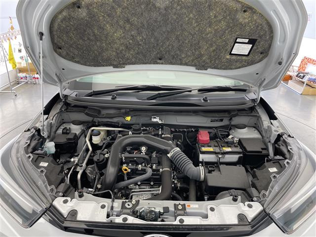ライズ1.0 Z