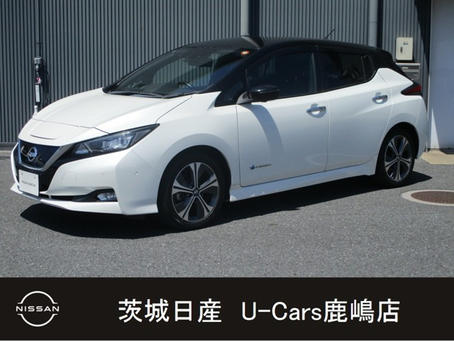 リーフG