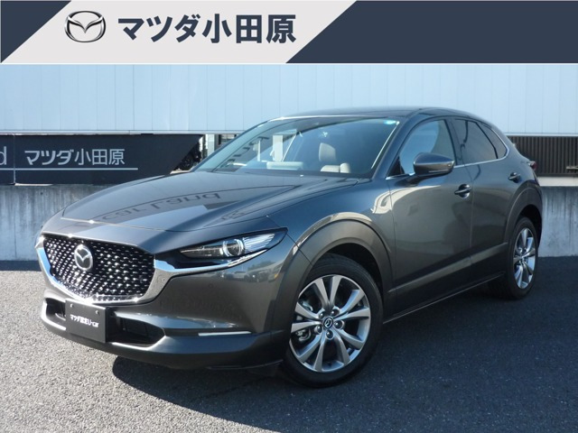 CX-302.0 20S プロアクティブ