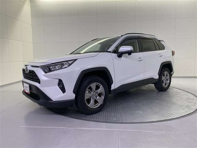 RAV42.0 X