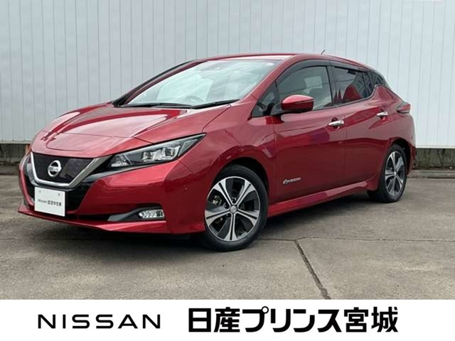リーフX