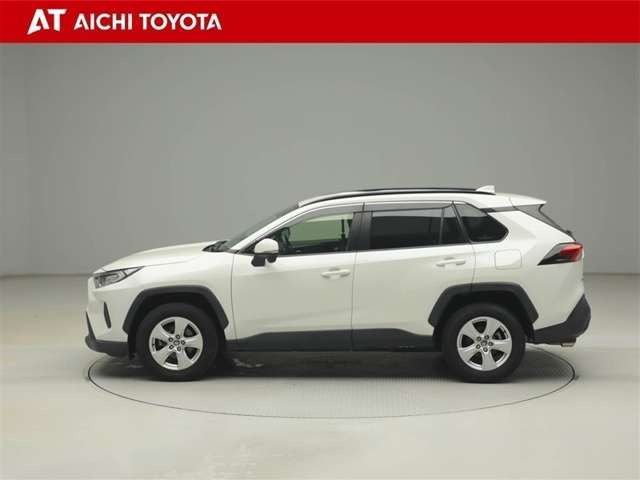 RAV42.0 X