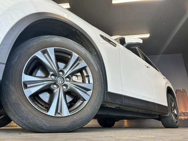 ����18�C���`�A���~�z�C�[��!�A���~�̃R�[�e�B���O��������܂�!���ꂪ���ȃA���~�z�C�[�������S�ł�!!