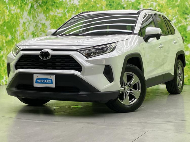RAV42.0 X