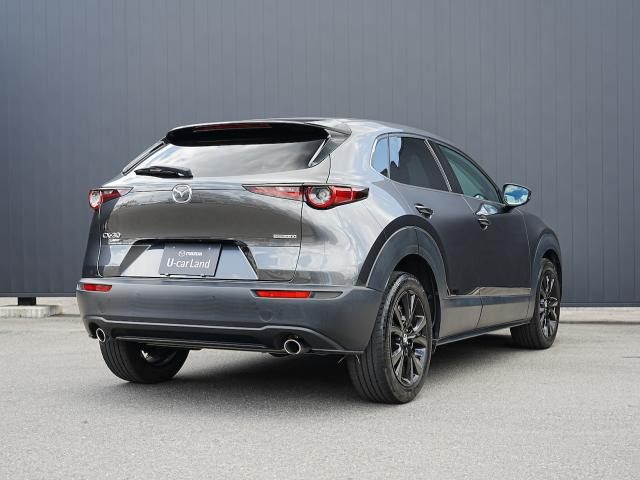 CX-30