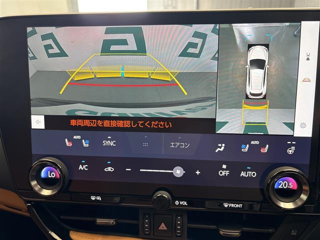 NX250 バージョンL