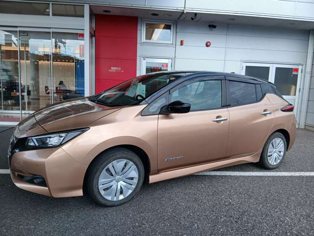 リーフS