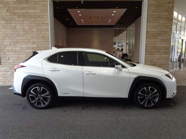 UX250h バージョンC