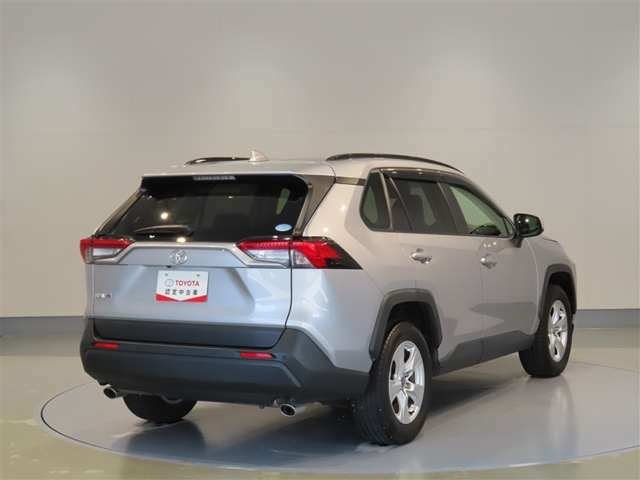 RAV42.0 X