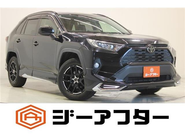 RAV42.0 X