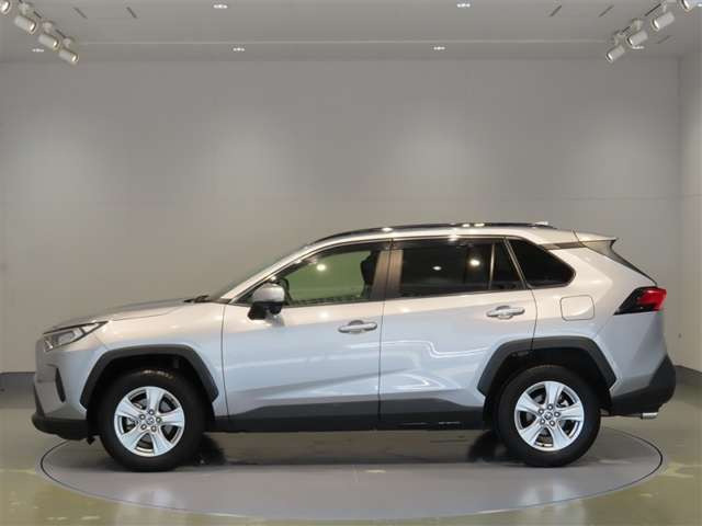 RAV42.0 X
