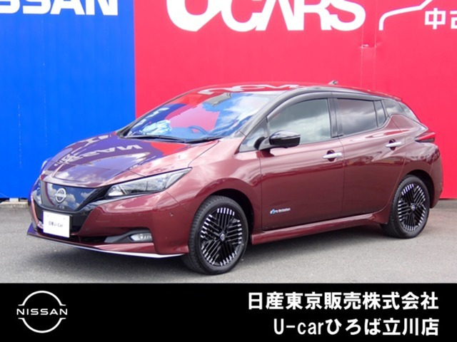 リーフe+ G