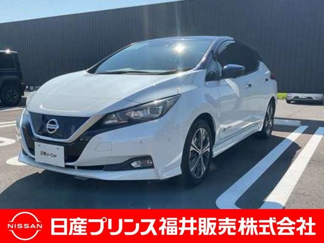 リーフG