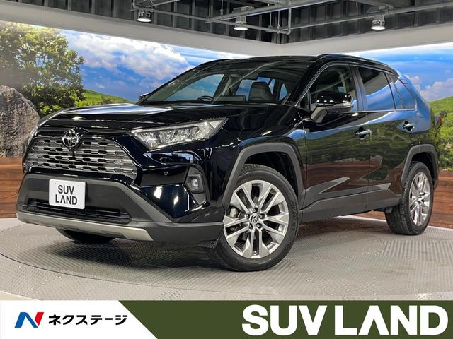 RAV42.0 G Zパッケージ 4WD