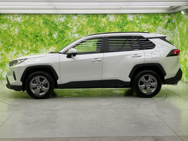 RAV42.0 X