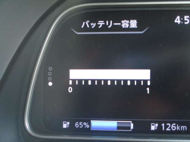 リーフX