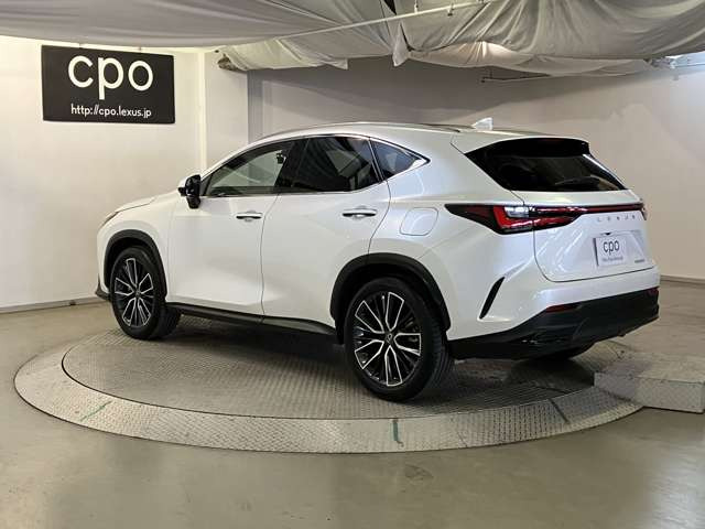 NX250 バージョンL