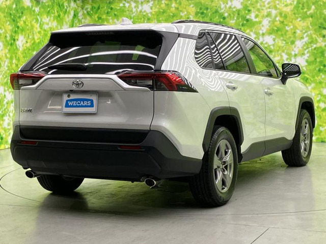 RAV42.0 X