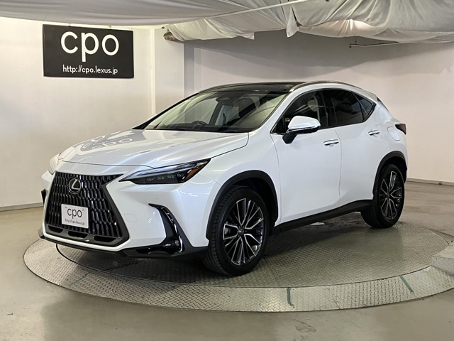 NX250 バージョンL