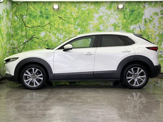 CX-301.8 XD Lパッケージ