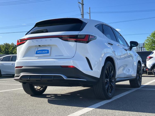 NX350h Fスポーツ