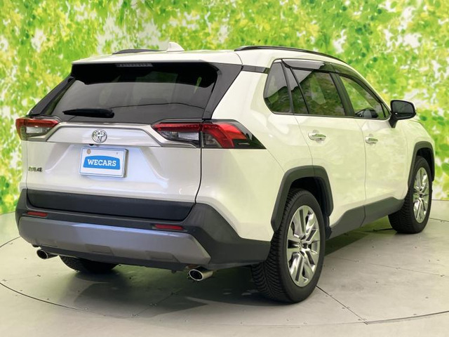 RAV42.0 G Zパッケージ 4WD